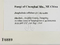 登錄號:F0006889藏品圖，第2張