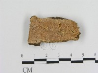 登錄號:F0006889藏品圖，第1張