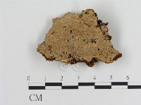 登錄號:F0006890藏品圖，第1張