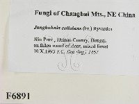 登錄號:F0006891藏品圖，第2張