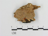 登錄號:F0006891藏品圖，第1張