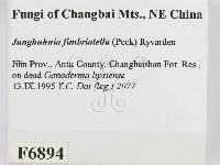 登錄號:F0006894藏品圖，第2張