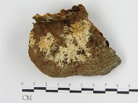 登錄號:F0006894藏品圖，第3張