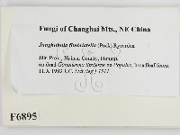 登錄號:F0006895藏品圖，第2張