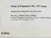 登錄號:F0006896藏品圖，第2張
