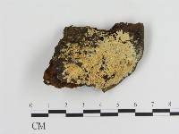 登錄號:F0006896藏品圖，第1張