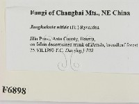 登錄號:F0006898藏品圖，第2張