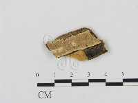 登錄號:F0006898藏品圖，第1張