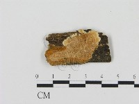 登錄號:F0006899藏品圖，第1張