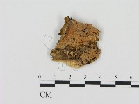 登錄號:F0006901藏品圖，第1張