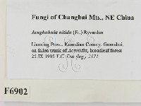 登錄號:F0006902藏品圖，第2張