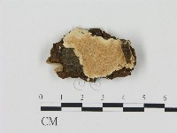 登錄號:F0006902藏品圖，第1張