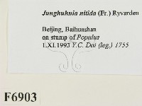 登錄號:F0006903藏品圖，第2張