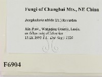 登錄號:F0006904藏品圖，第2張