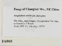 登錄號:F0006905藏品圖，第2張