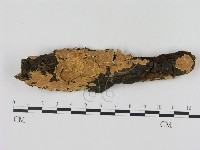 登錄號:F0006905藏品圖，第1張