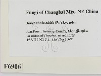 登錄號:F0006906藏品圖，第2張