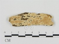 登錄號:F0006906藏品圖，第1張