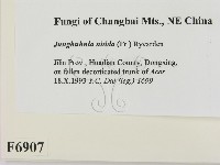 登錄號:F0006907藏品圖，第2張