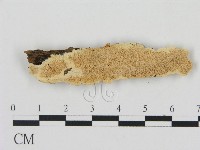 登錄號:F0006908藏品圖，第1張