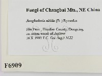 登錄號:F0006909藏品圖，第2張