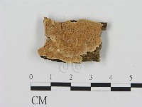 登錄號:F0006909藏品圖，第1張