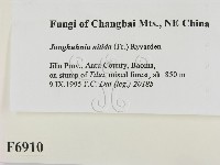 登錄號:F0006910藏品圖，第2張