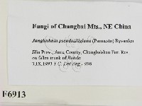 登錄號:F0006913藏品圖，第2張