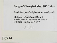 登錄號:F0006914藏品圖，第2張