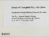 登錄號:F0006915藏品圖，第2張