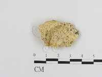 登錄號:F0006915藏品圖，第1張