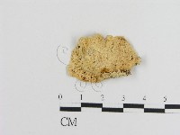 登錄號:F0006915藏品圖，第3張