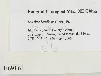 登錄號:F0006916藏品圖，第2張