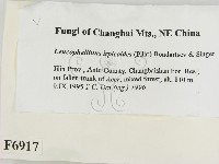 登錄號:F0006917藏品圖，第2張