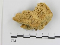 登錄號:F0006917藏品圖，第1張