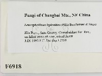 登錄號:F0006918藏品圖，第2張