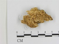 登錄號:F0006918藏品圖，第1張