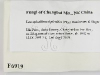 登錄號:F0006919藏品圖，第2張