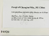 登錄號:F0006920藏品圖，第2張