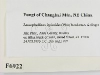 登錄號:F0006922藏品圖，第2張