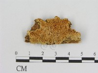 登錄號:F0006922藏品圖，第1張