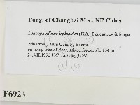 登錄號:F0006923藏品圖，第2張