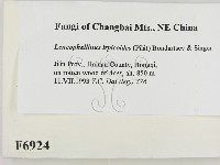 登錄號:F0006924藏品圖，第2張