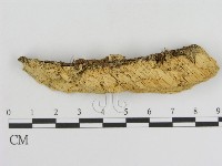 登錄號:F0006924藏品圖，第1張