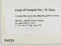 登錄號:F0006925藏品圖，第2張