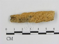 登錄號:F0006925藏品圖，第1張