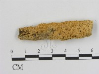 登錄號:F0006925藏品圖，第3張