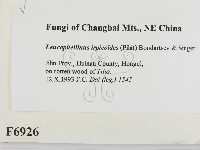 登錄號:F0006926藏品圖，第2張