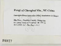 登錄號:F0006927藏品圖，第2張