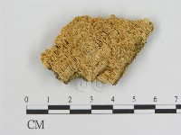 登錄號:F0006927藏品圖，第1張